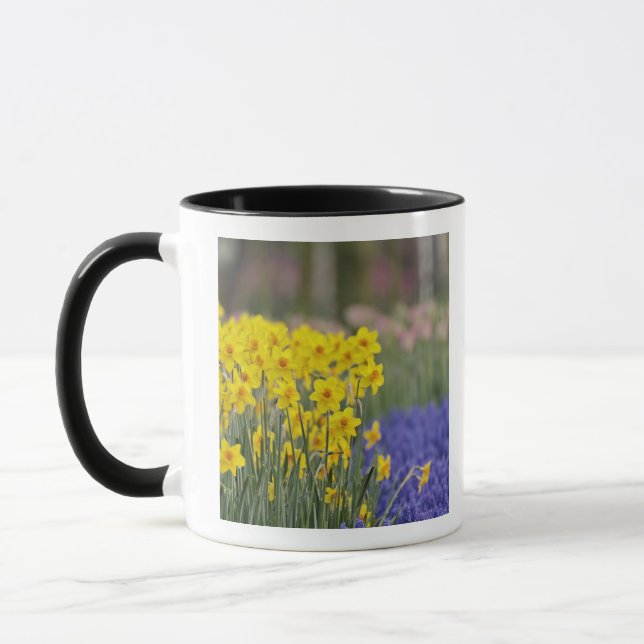 Narcisser och druvhyacint, Keukenhof Mugg (Vänster)