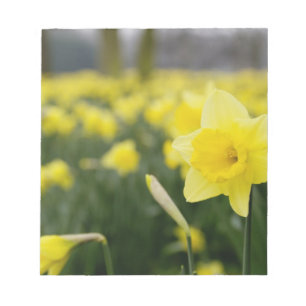 Narcisser (RF) Anteckningsblock