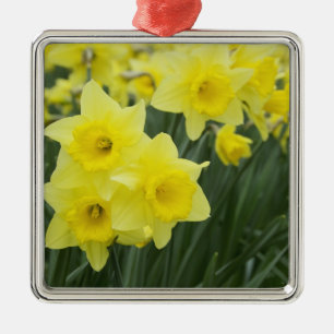 Narcisser RF) Julgransprydnad Metall
