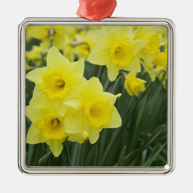 Narcisser RF) Julgransprydnad Metall (Framsidan)