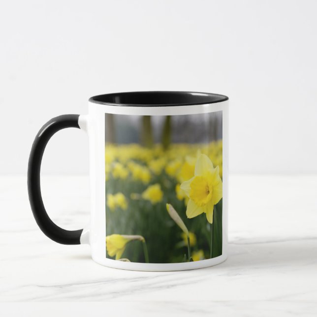 Narcisser (RF) Mugg (Vänster)