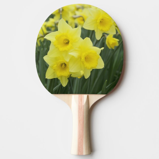 Narcisser RF) Pingisracket (Framsidan)