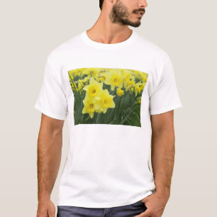Narcisser RF) T-shirt
