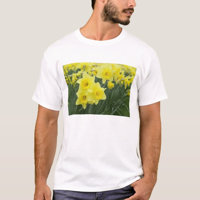 Narcisser RF) T-shirt (Framsida)