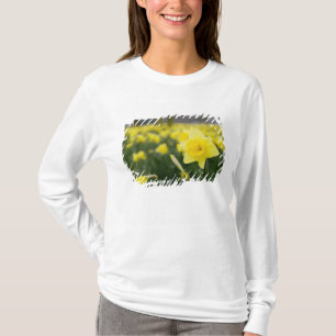 Narcisser (RF) Tee