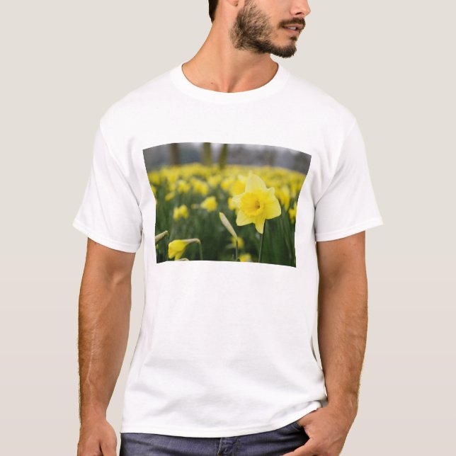 Narcisser (RF) Tee Shirt (Framsida)