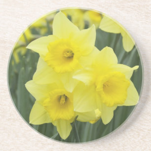 Narcisser RF) Underlägg Sandsten