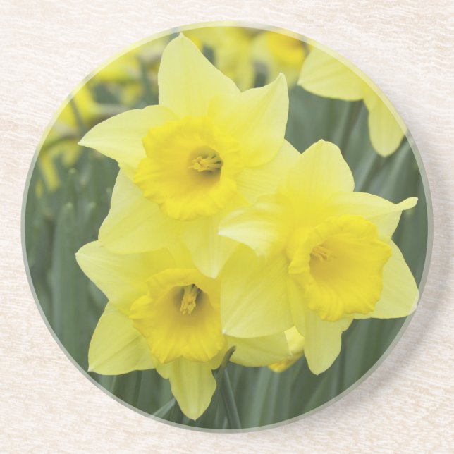 Narcisser RF) Underlägg Sandsten (Framsidan)