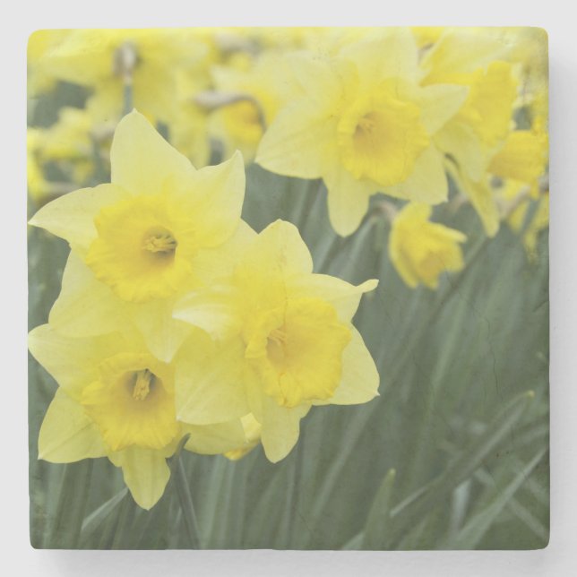 Narcisser RF) Underlägg Sten (Framsidan)