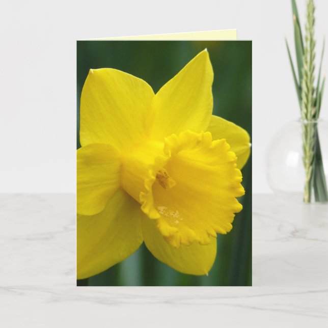 Narcisskort Personliga Narcissblomma Kort (Framsida)