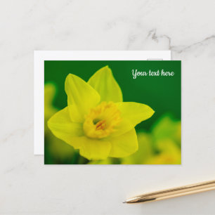 Narcisskort Vykort