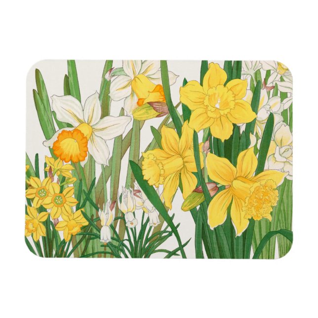 Narcissmålning i träsnitt, Tanigami Kônan, 1917 Magnet (Horisontell)