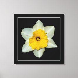 'Narcissserie, Bild 1' Lindad Canvastryck