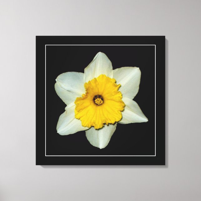 'Narcissserie, Bild 1' Lindad Canvastryck (Framsida)