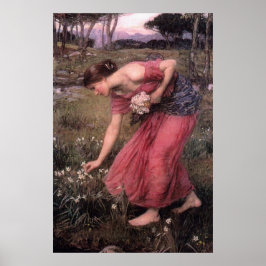 Narcissus av John William Waterhouse - 1912 Poster