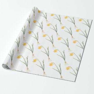 Narcissus Blommönster Presentpapper