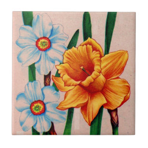 narcissus blommor kakelplatta