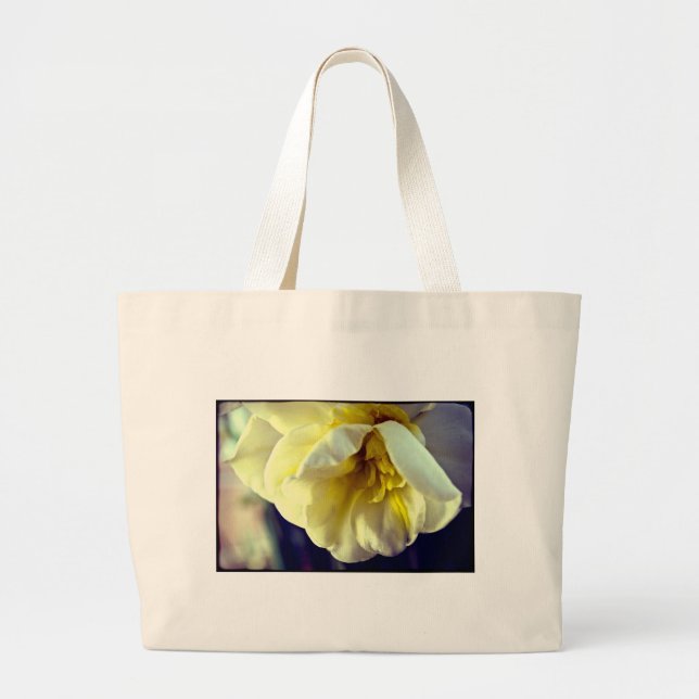 Narcissus Daffodil Jumbo Tygkasse (Framsidan)