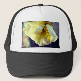 Narcissus Daffodil Keps