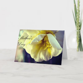 Narcissus Daffodil Mamma EuropDay Kort