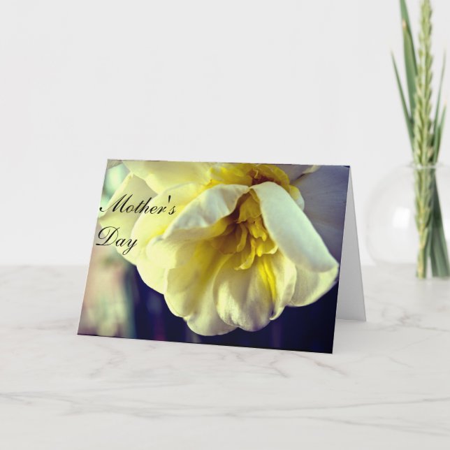 Narcissus Daffodil Mamma EuropDay Kort (Framsida)