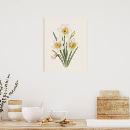 Narcissus, december födelsedagsblomma botanisk kon poster