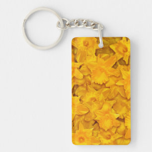 Narcissus Flowers
