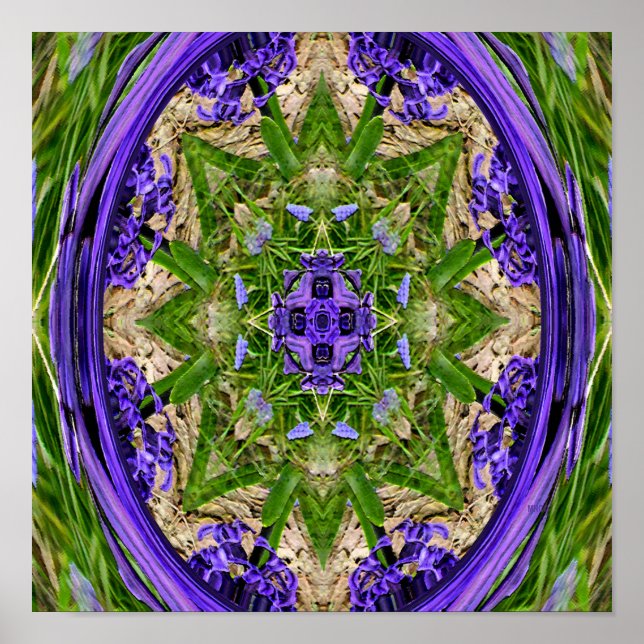 Narcissus Garden..... Poster (Framsidan)