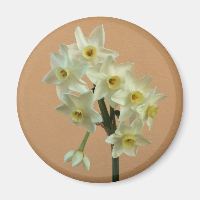 Narcissus Magnet (Framsidan)