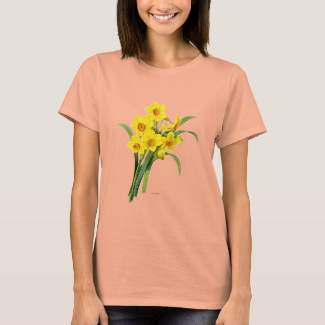 Narcissus (N Tazetta) Tröja (Framsida)