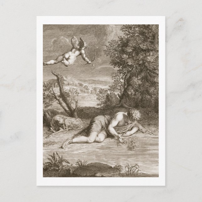 Narcissus omvandlat till en blomma, 1730 (engravi) vykort (Framsida)
