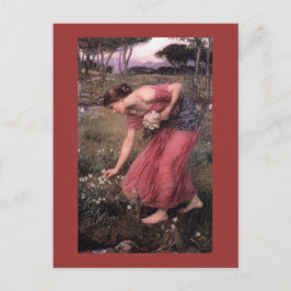 Narcissus Picking Flowers in Meadow Vykort