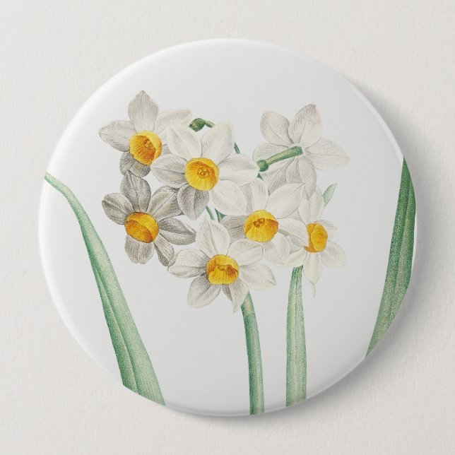 Narcissus, Pierre-Joseph Redouté, 1805 Knapp (Framsida)