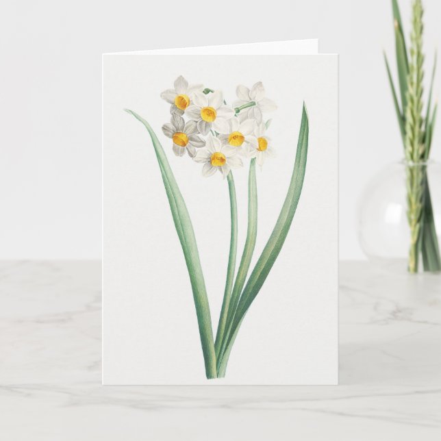 Narcissus, Pierre-Joseph Redouté, 1805 Kort (Framsida)