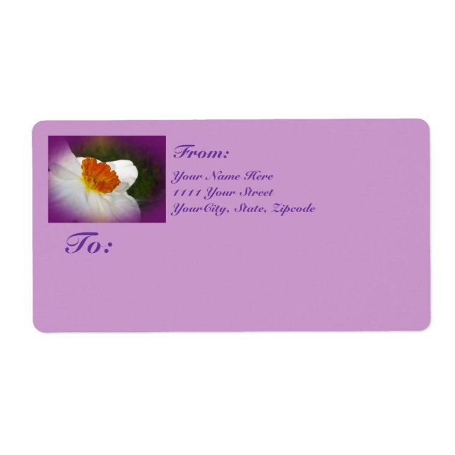 Narcissus - Springtime Beauty Fraktsedel (Framsidan)