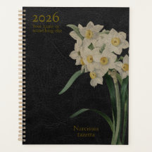 Narcissus Tazetta: Paperwhite Perfektion
