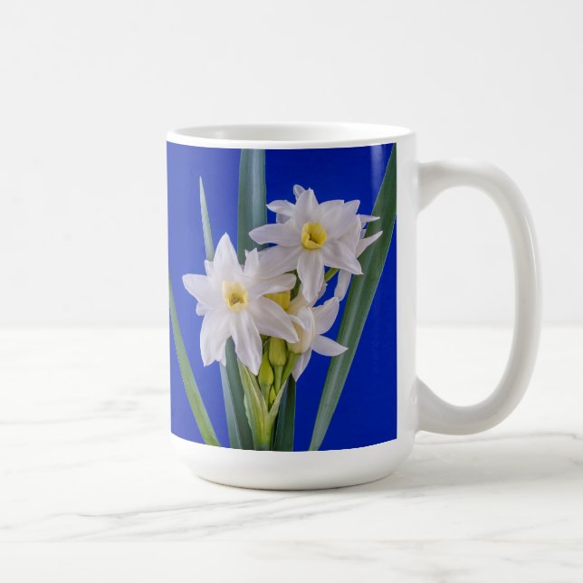 Narcissus Vår Mugg (Höger)