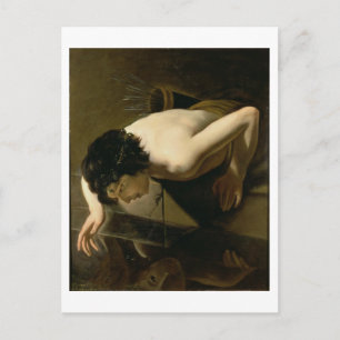 Narcissus Vykort