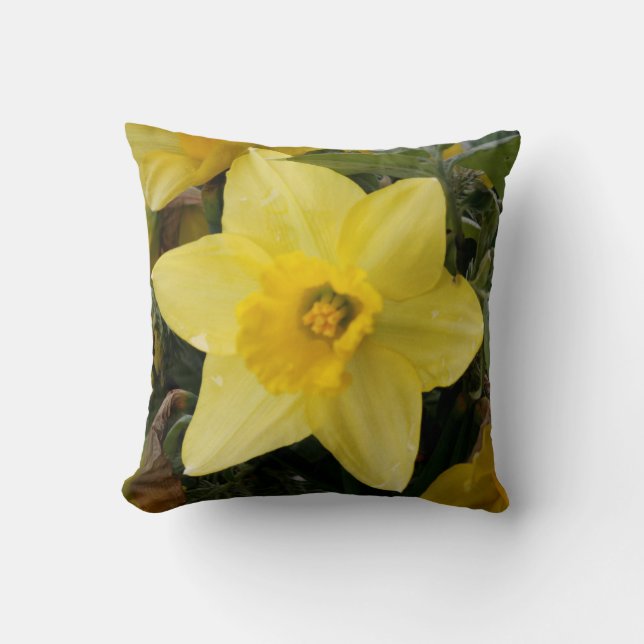 Narcissuskudde Kudde (Framsida)