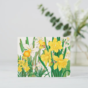 Narcissusmåleri med träsnitt vykort