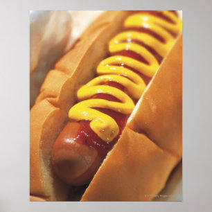 närhet till en hund poster