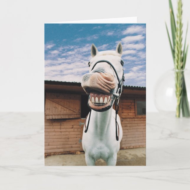 Närhet till häst med mun öppen kort (Framsida)