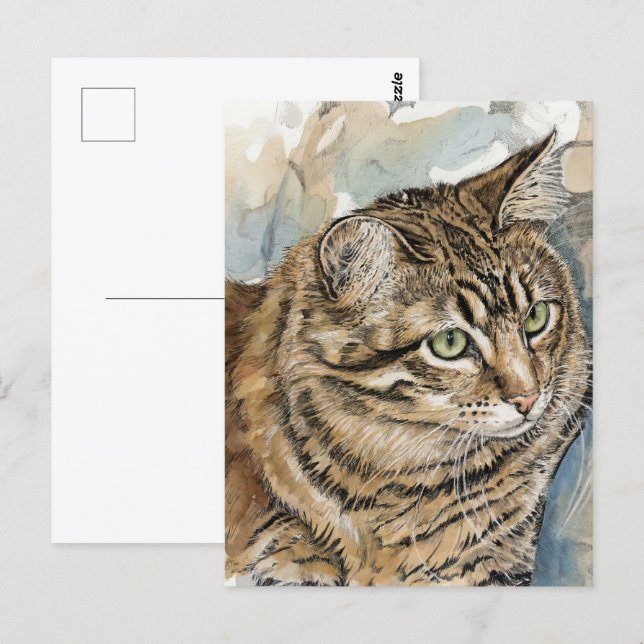 Nari- En studie av min katt Vykort (Fram/baksida)