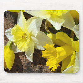 NARKISSBLOMMOR Narcissblommor MUSMATT MUSMATTA