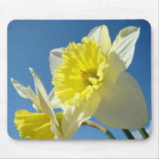 NARKISSBLOMMOR Narcissblommor MUSMATTA MUS PAD