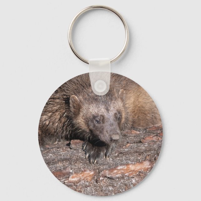 Närkontakt med järv nyckelring (Framsida)