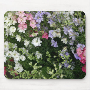 Närliggande Blomsterträdgård Musmatta