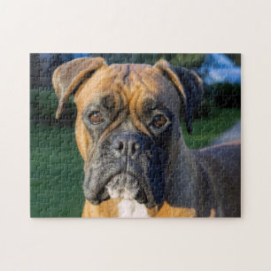 Närmare en Boxer-Hund Pussel