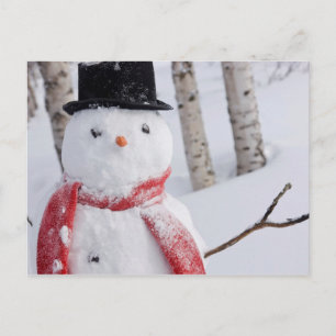 Närmare Snögubbe med Scarf och Top hat Helg Vykort