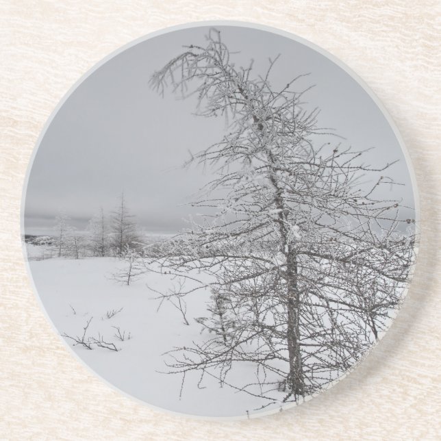 Narnia Underlägg (Framsidan)